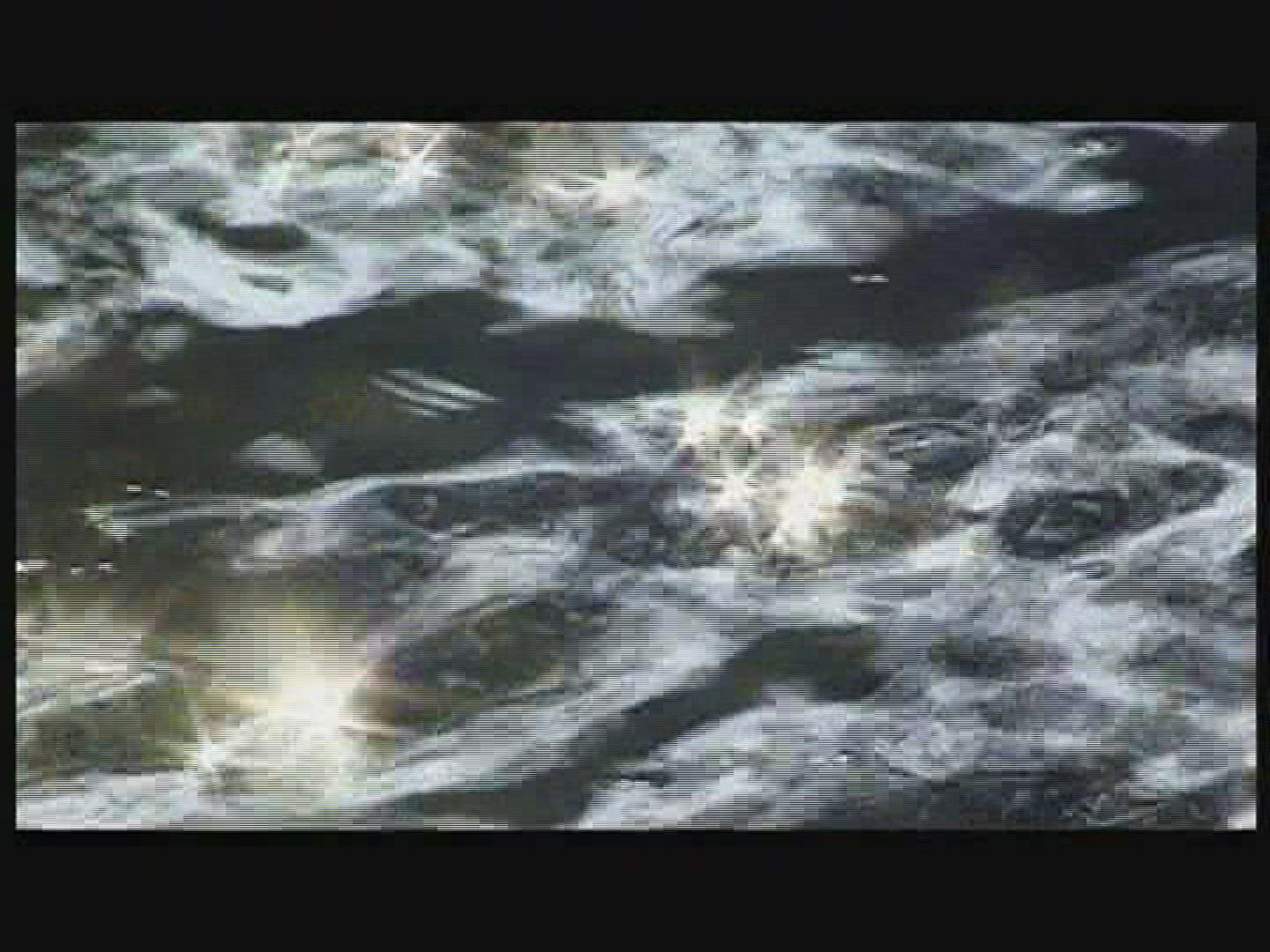 791925970 / Water / Current
