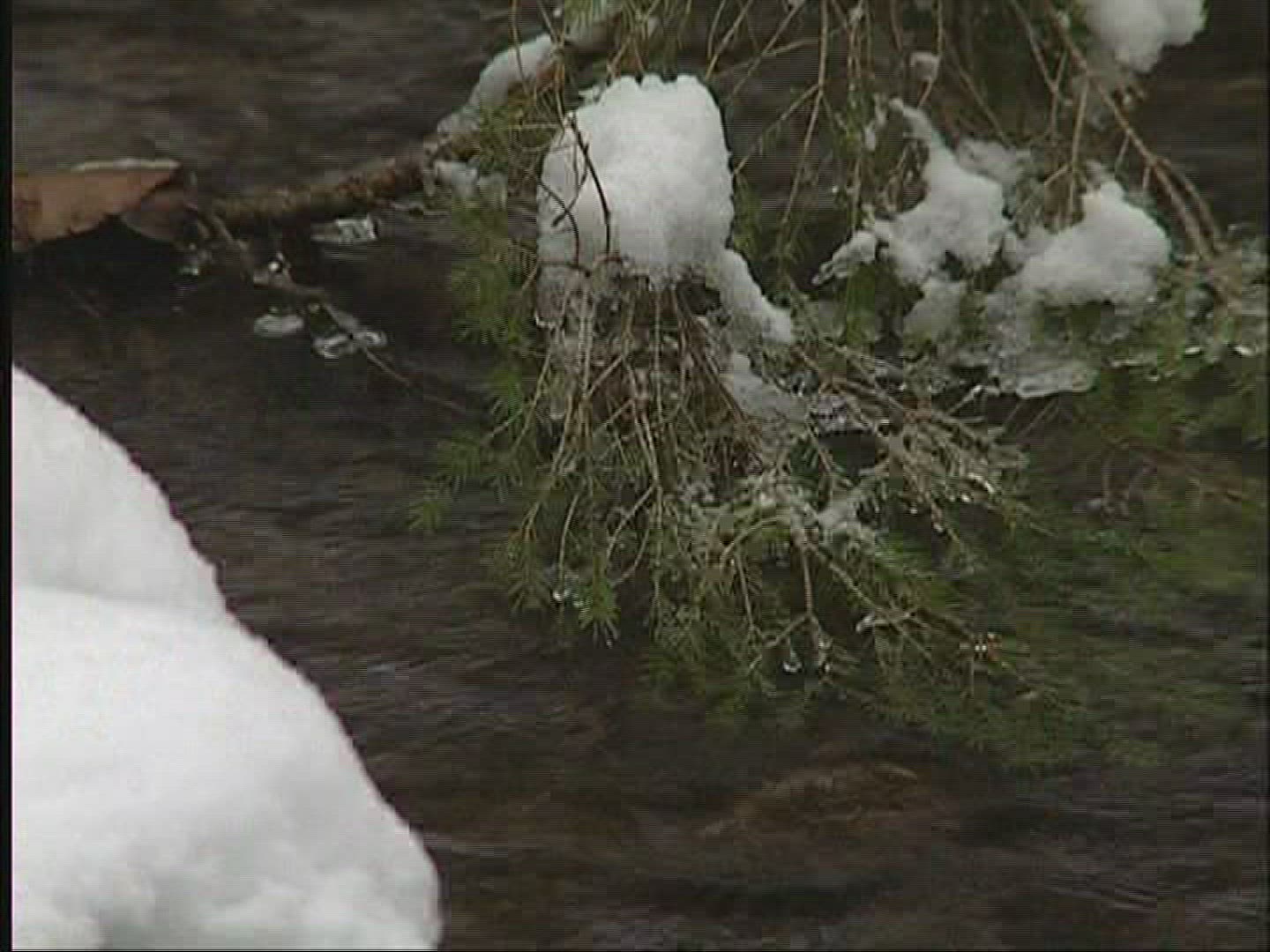 983500668 / Stream / Forest / Winter / Germany