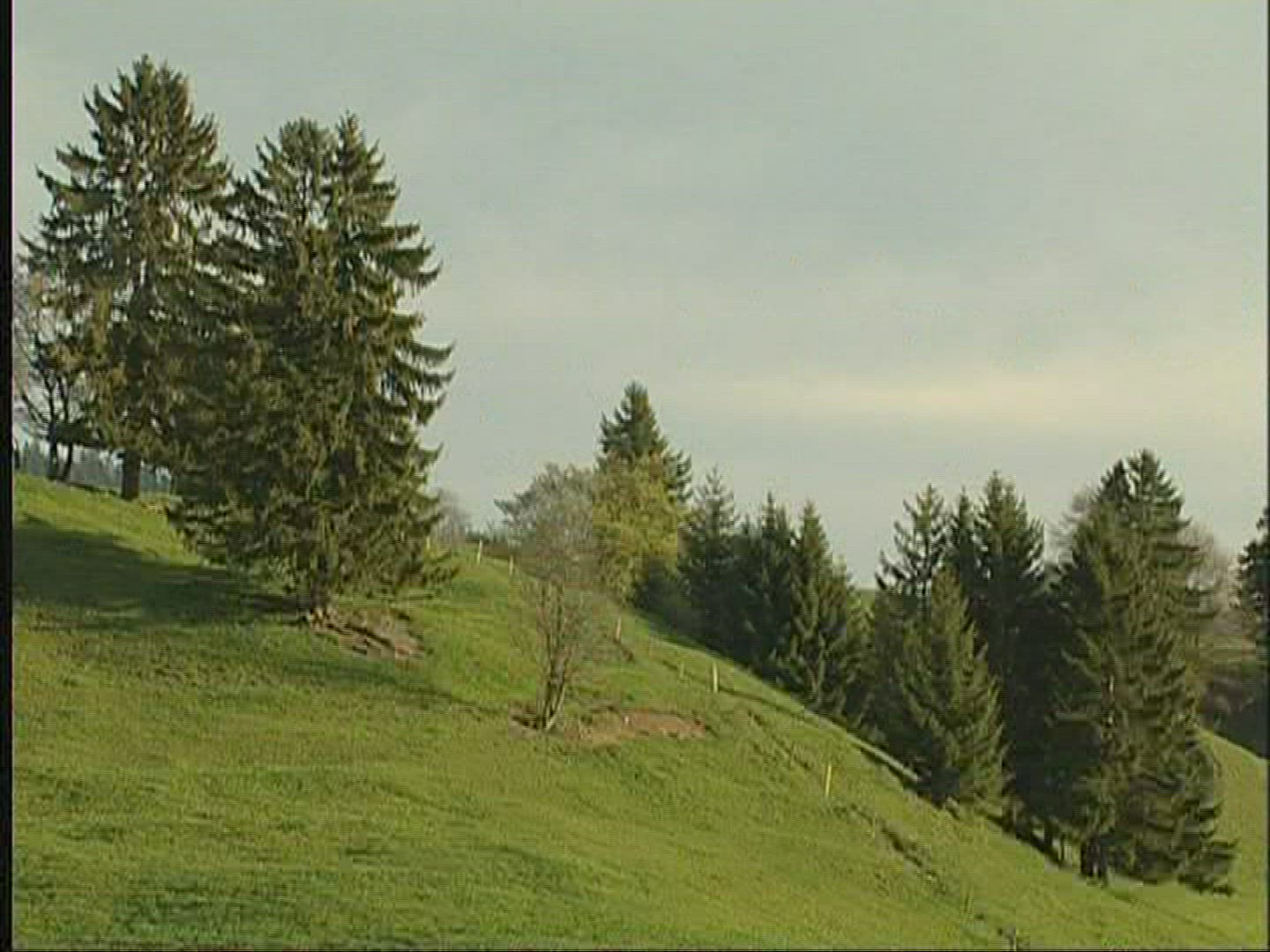 851405080 / Landscape / Alpine Foreland / Germany