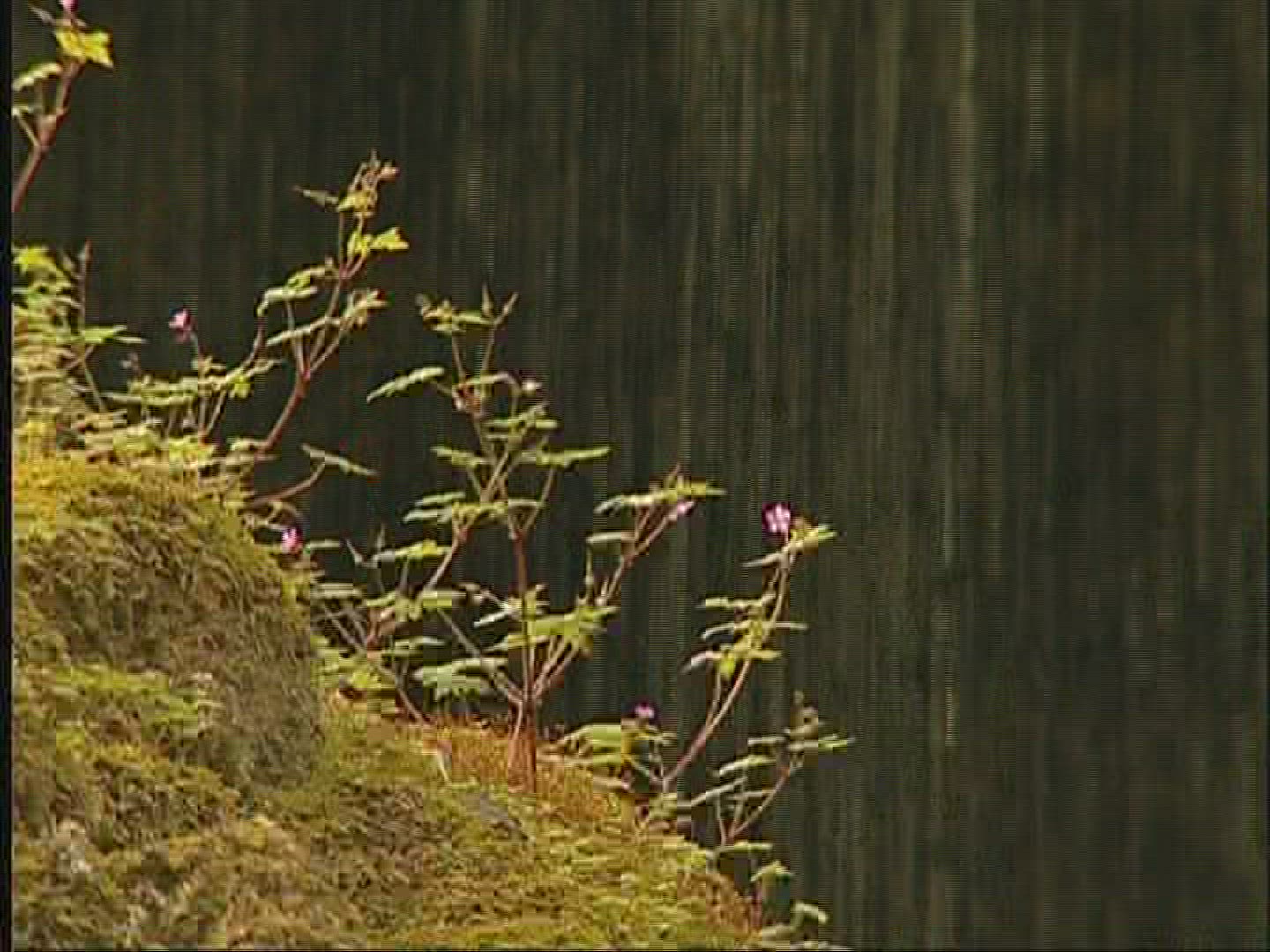 585822257 / Waterfall / Alpine Foreland / Germany