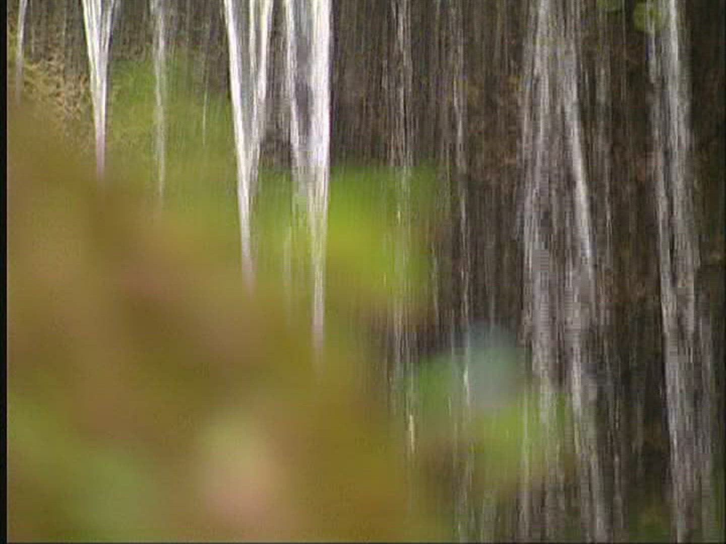 642698316 / Waterfall / Alpine Foreland / Germany