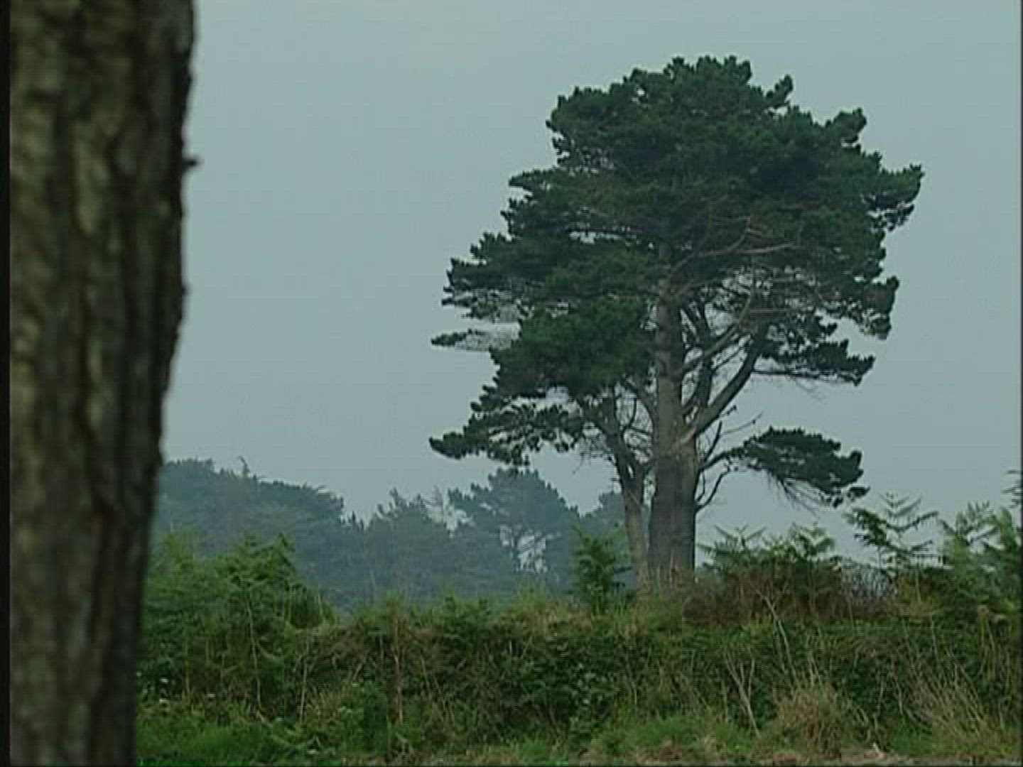 568462223 / Coast / Bretagne / France