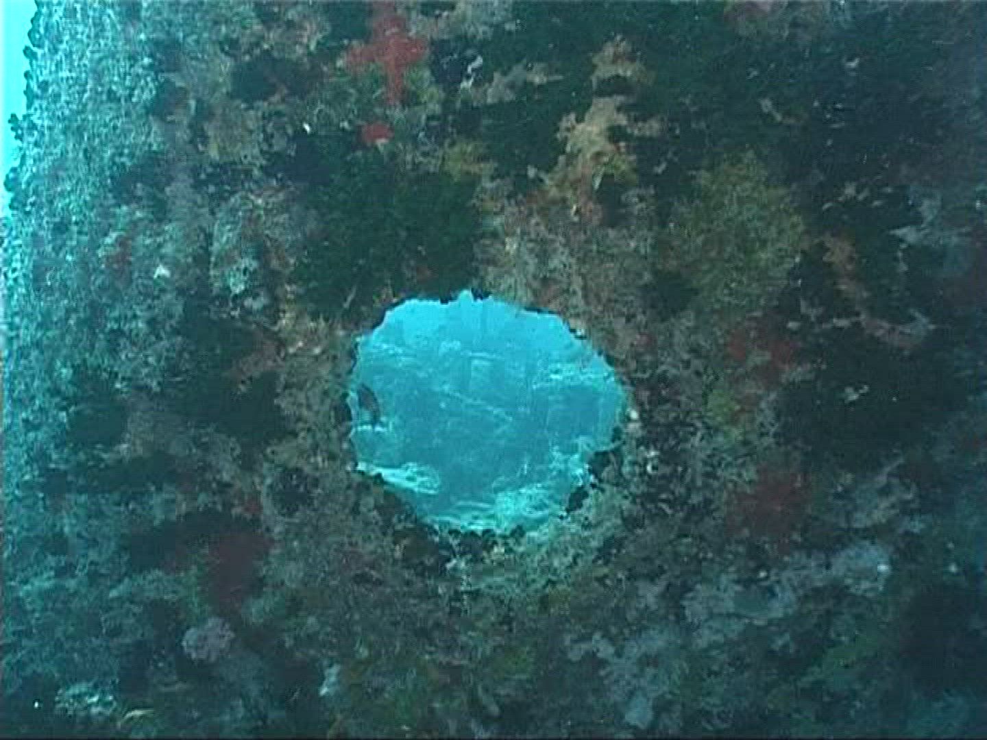416220349 / Shipwreck / Underwater Shot / Maldives