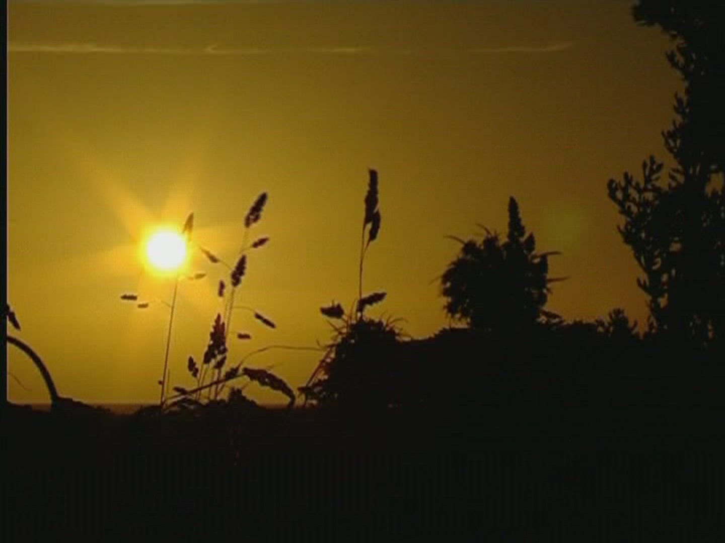 235241773 / Sunset / Bretagne / France