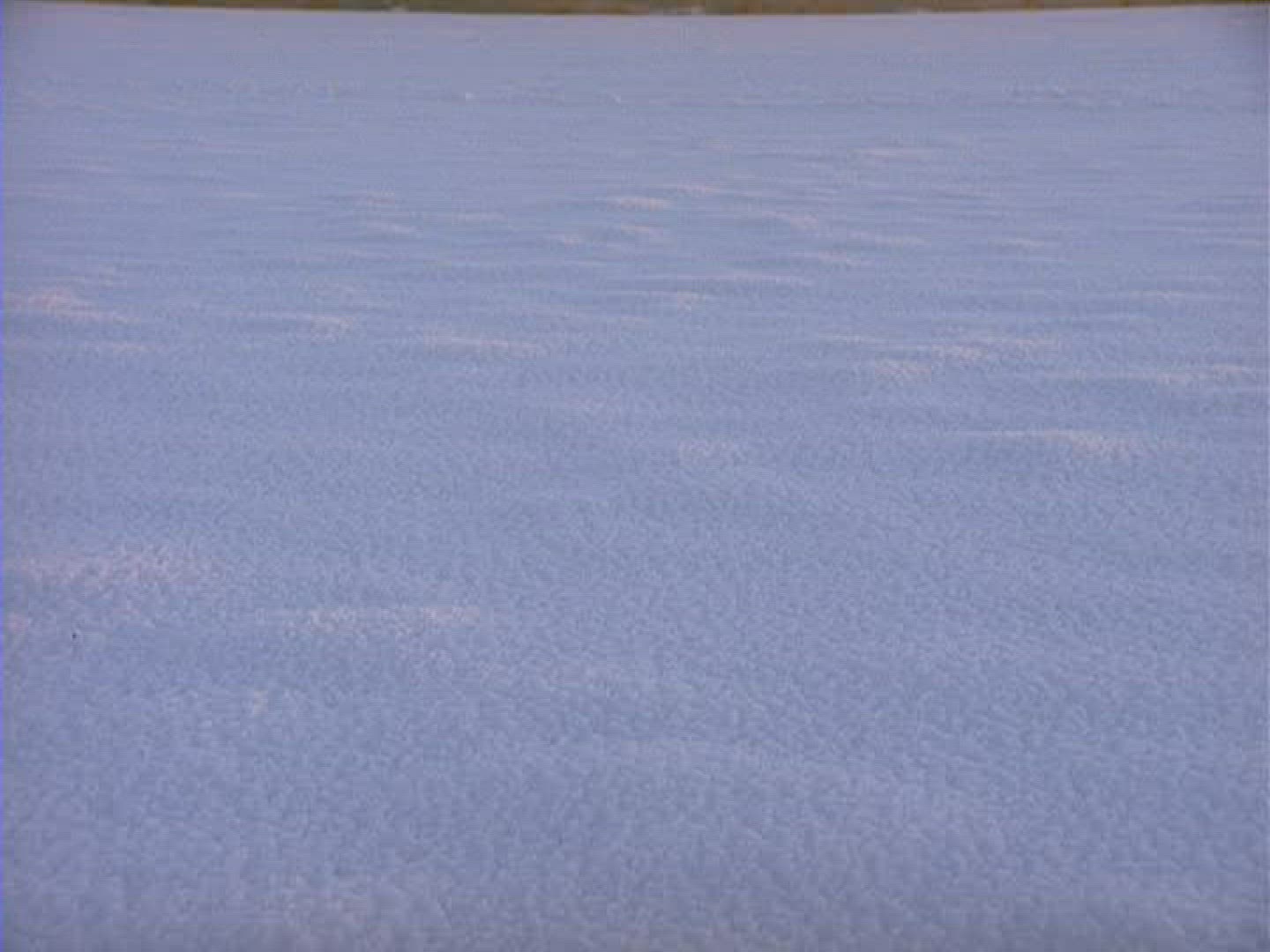281841049 / Snow Blanket / Germany