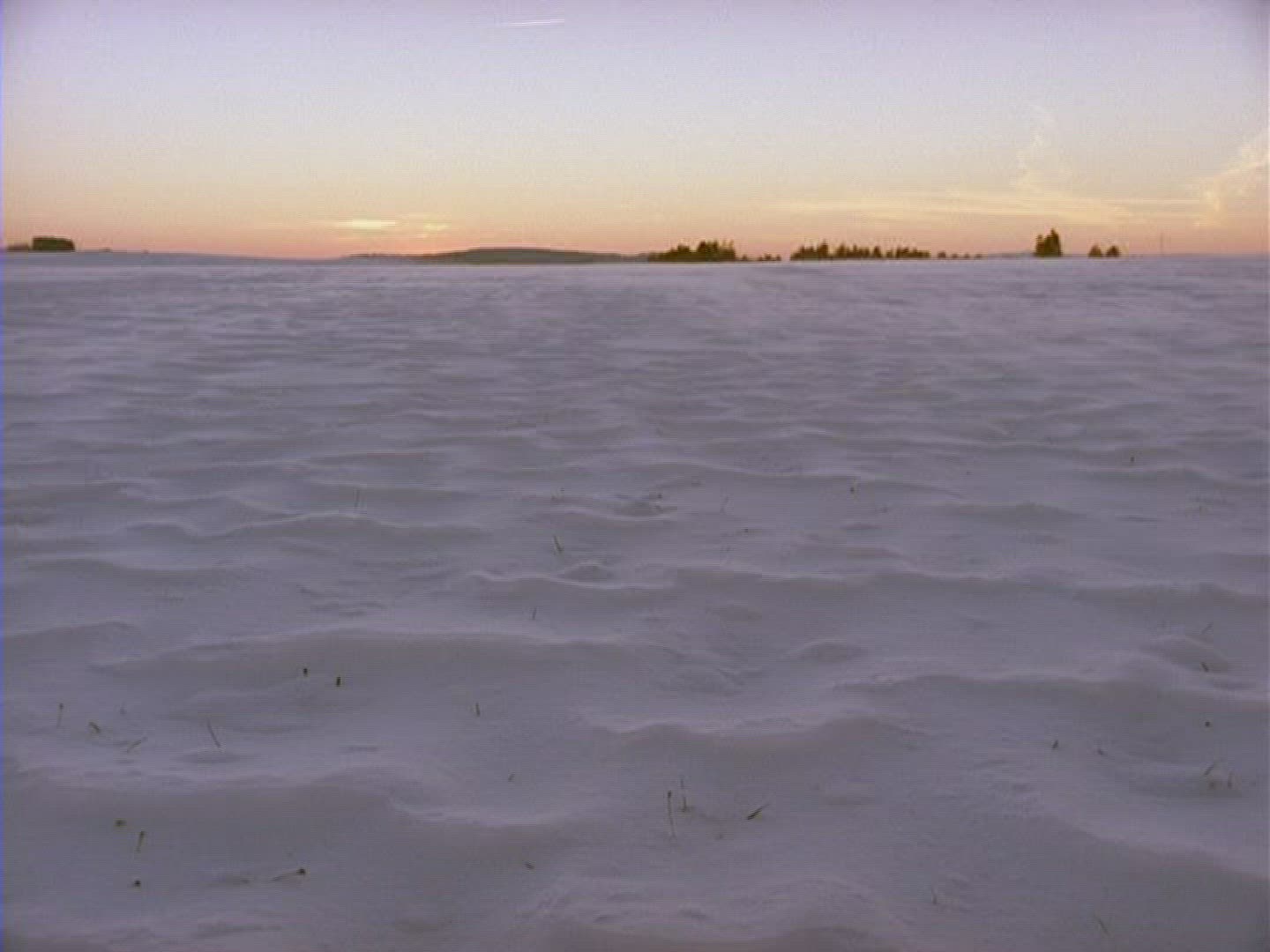 405417851 / Snow Blanket / Germany