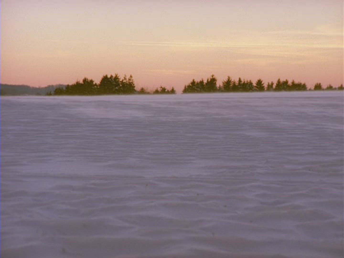 105227033 / Snow Blanket / Germany