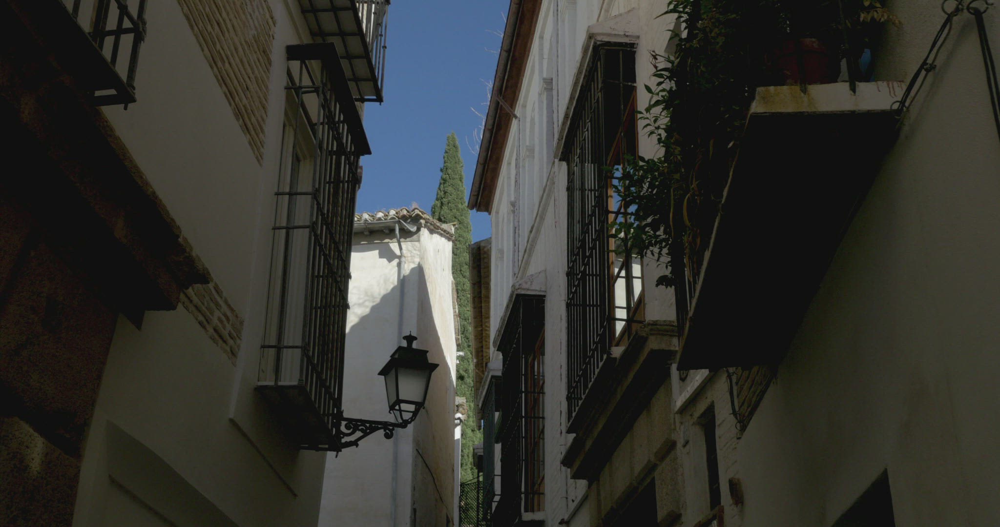 248703465 / Granada / Andalusia / Spain