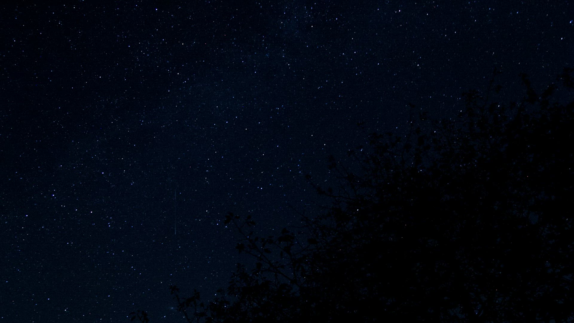 290576414 / Starlit Sky / Night
