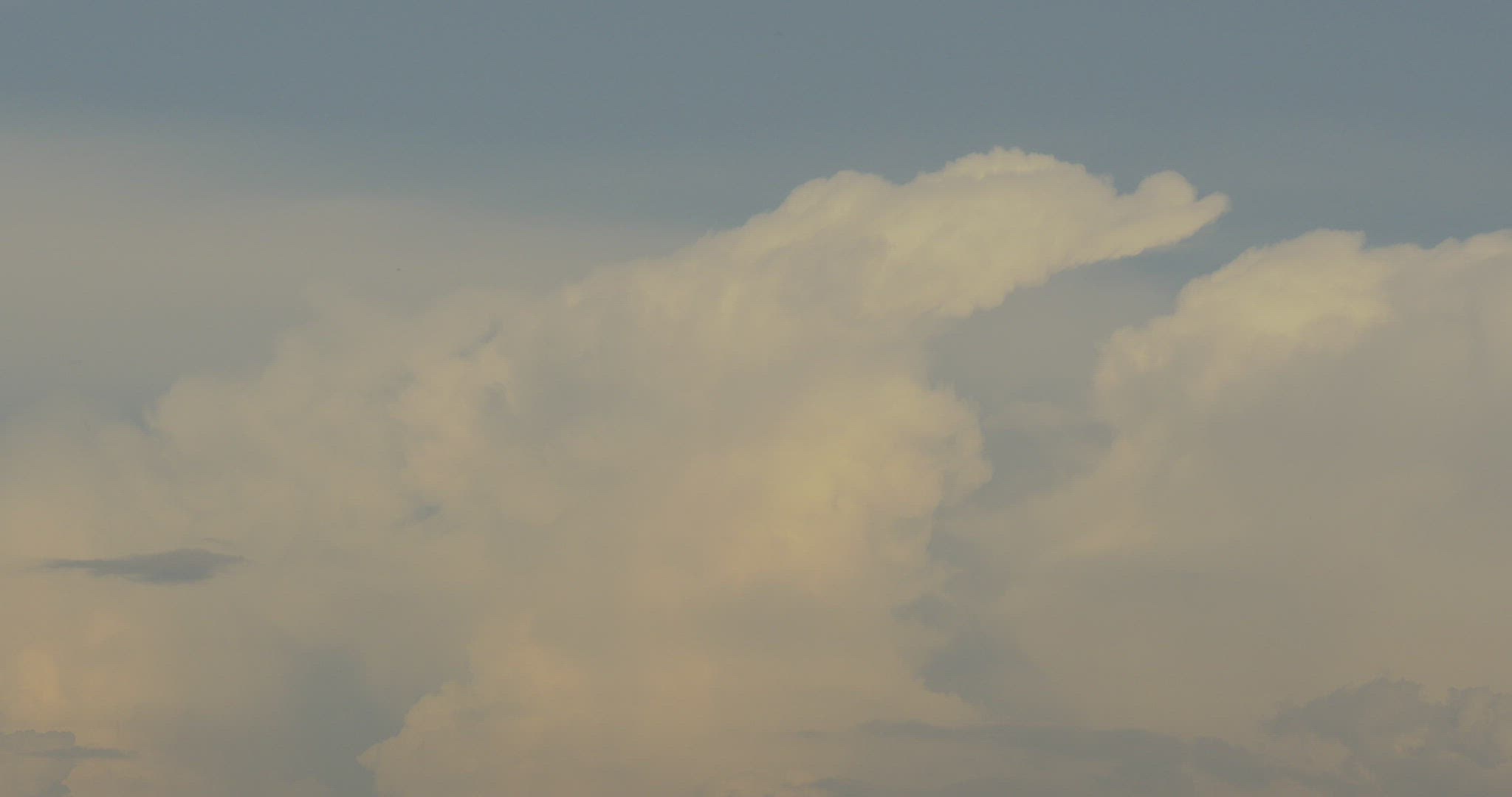 648843658 / Cumulus Congestus / Cumulus Cloud