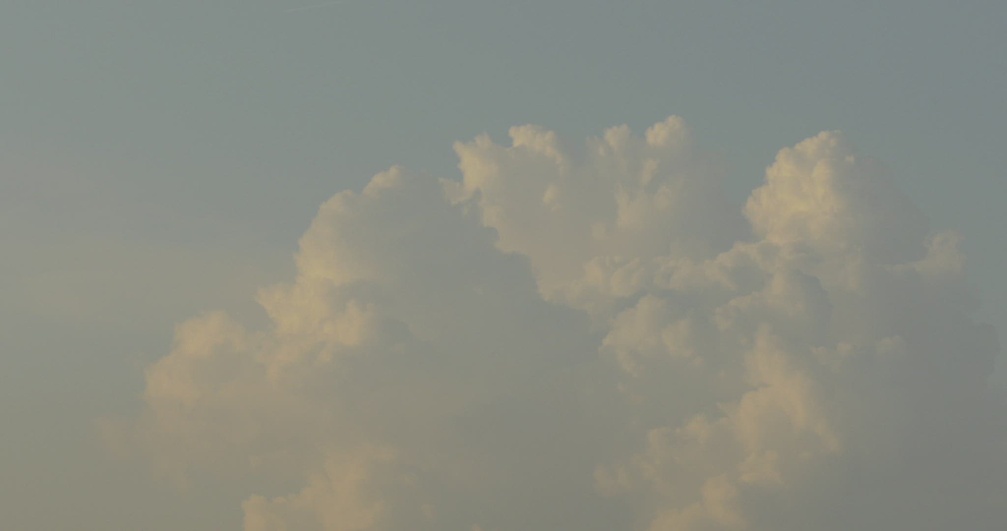 272222262 / Cumulus Congestus / Cumulus Cloud