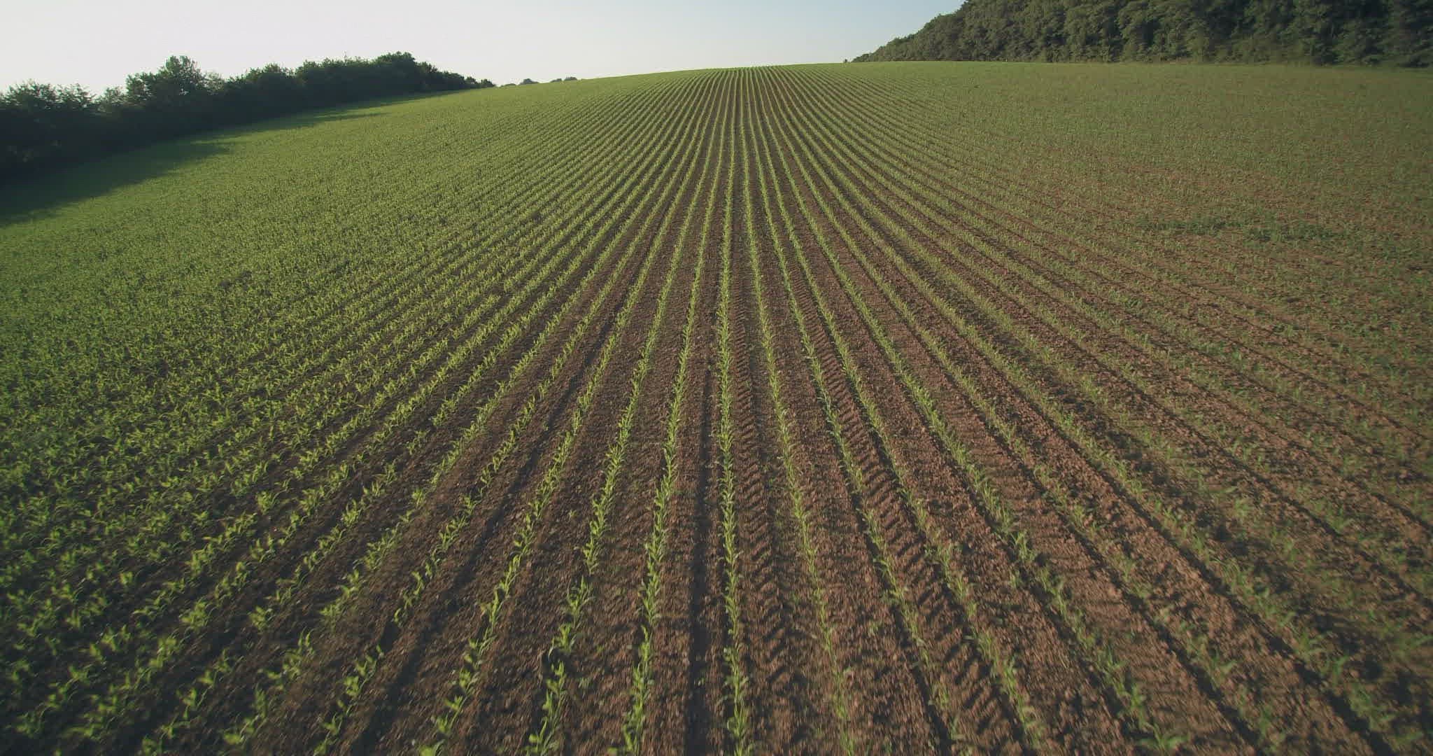 859057553 / Field / Spring / Aerial