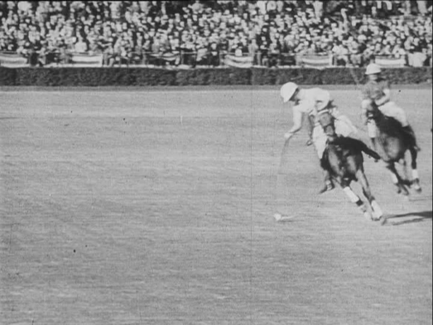 752690104 / Horse Racing / Equestrianism