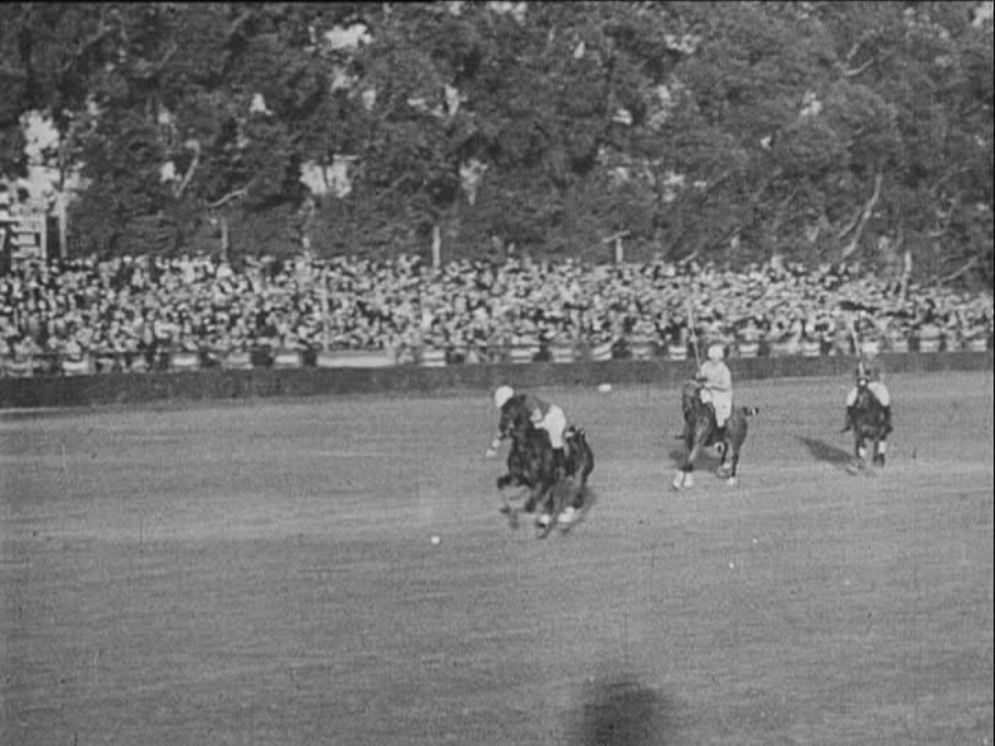 328134273 / Horse Racing / Equestrianism