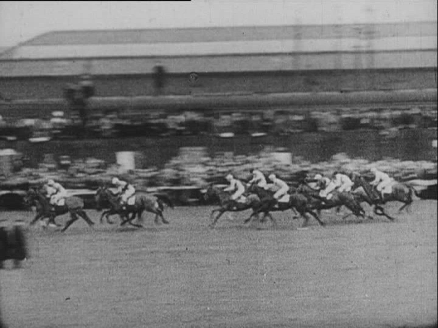 858987661 / Horse Racing / Equestrianism