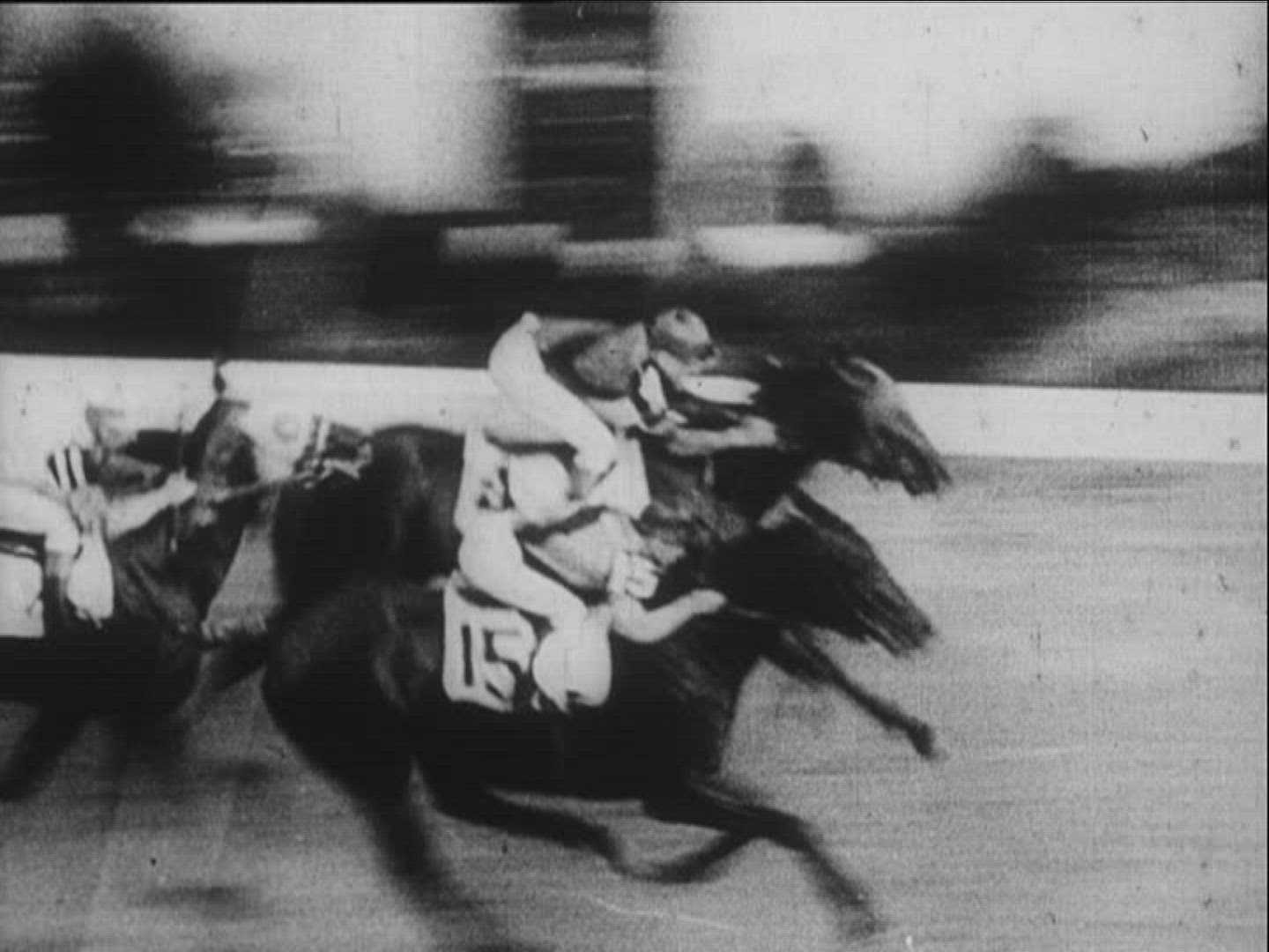 219431164 / Horse Racing / Equestrianism