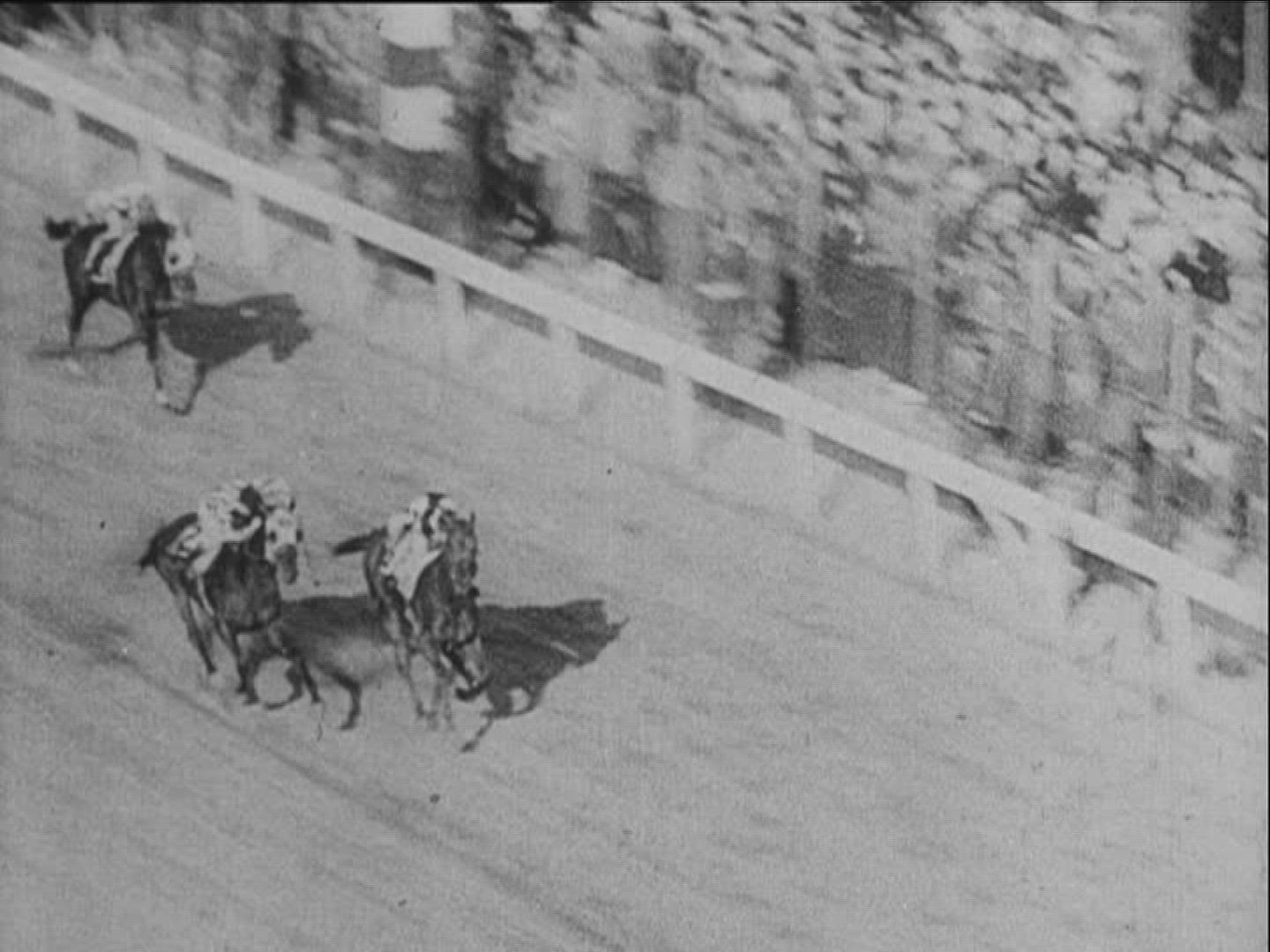 110629601 / Horse Racing / Equestrianism