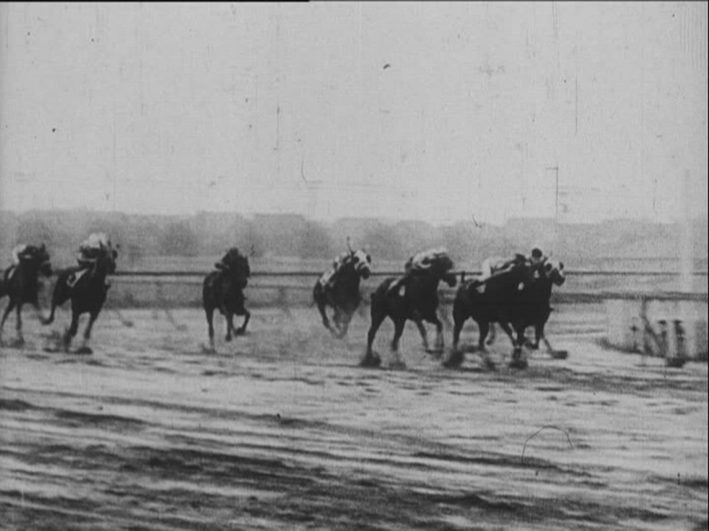 506524295 / Horse Racing / Equestrianism
