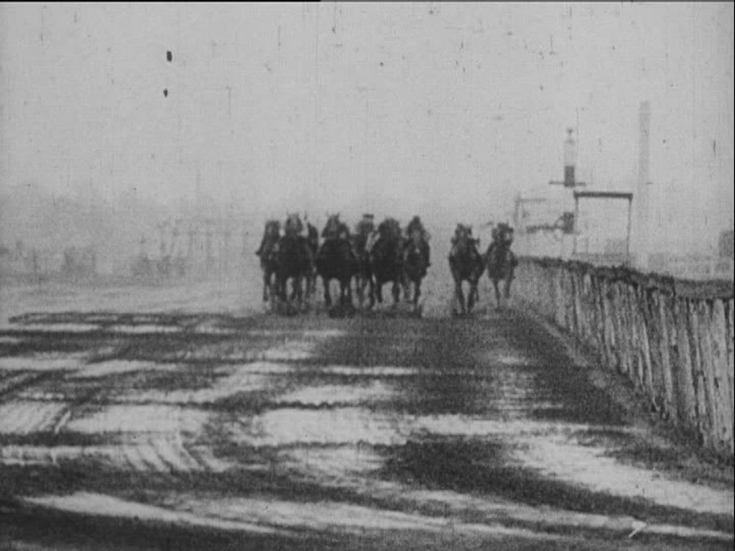 916826896 / Horse Racing / Equestrianism