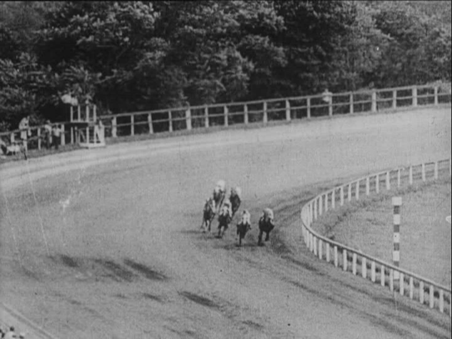 394002628 / Horse Racing / Equestrianism