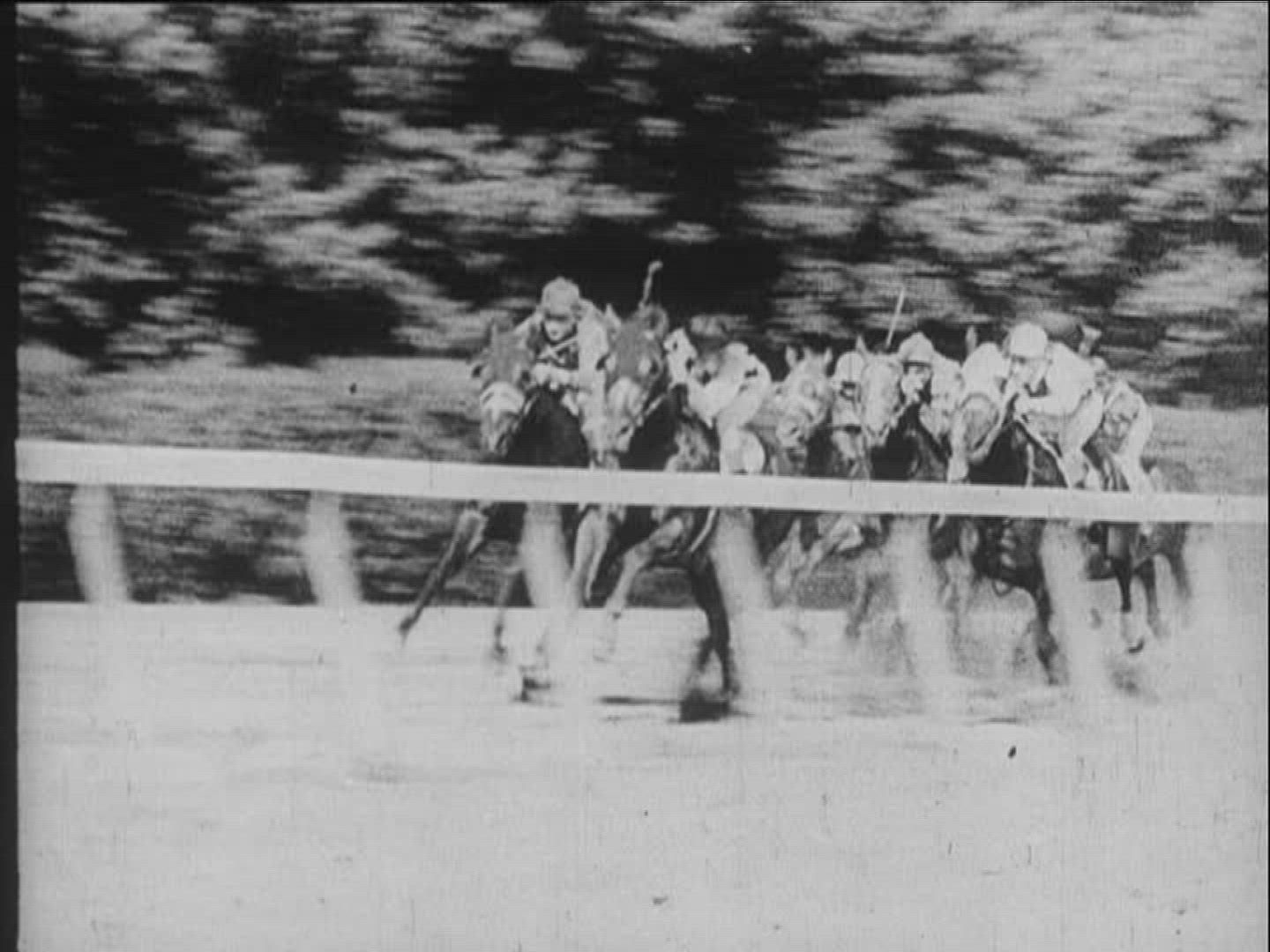 845128527 / Horse Racing / Equestrianism