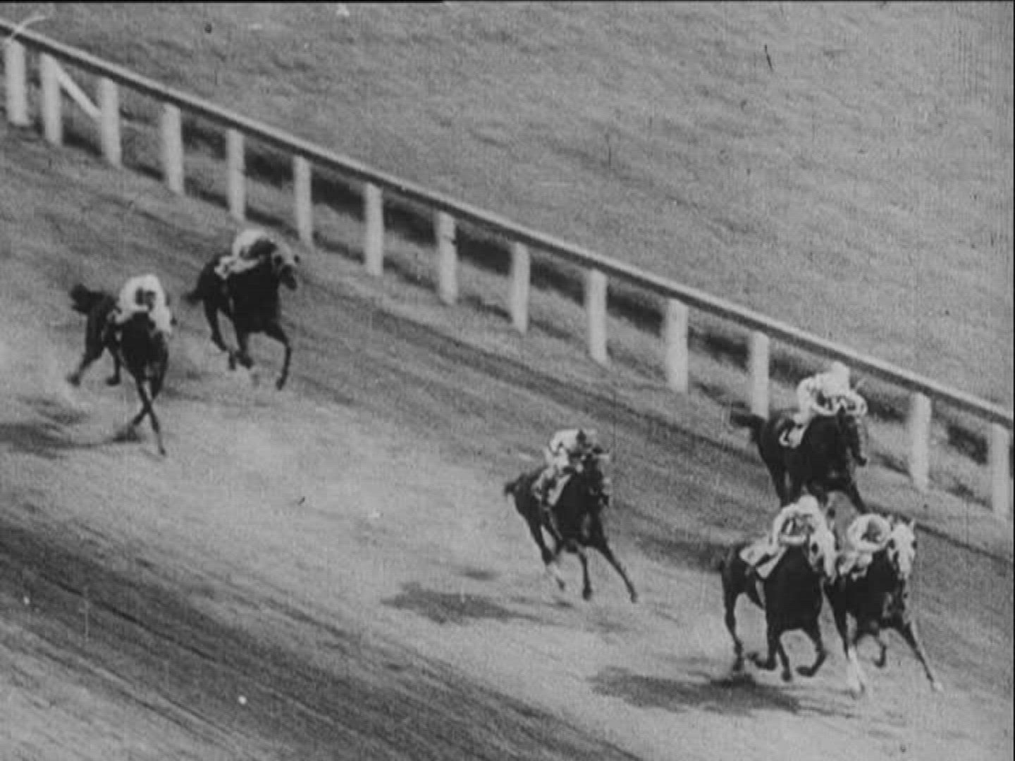 648207230 / Horse Racing / Equestrianism