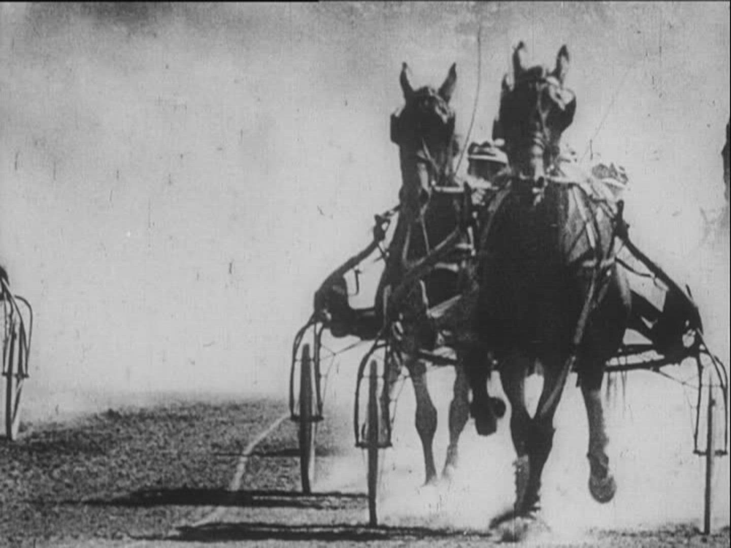 820118281 / Horse Racing / Equestrianism