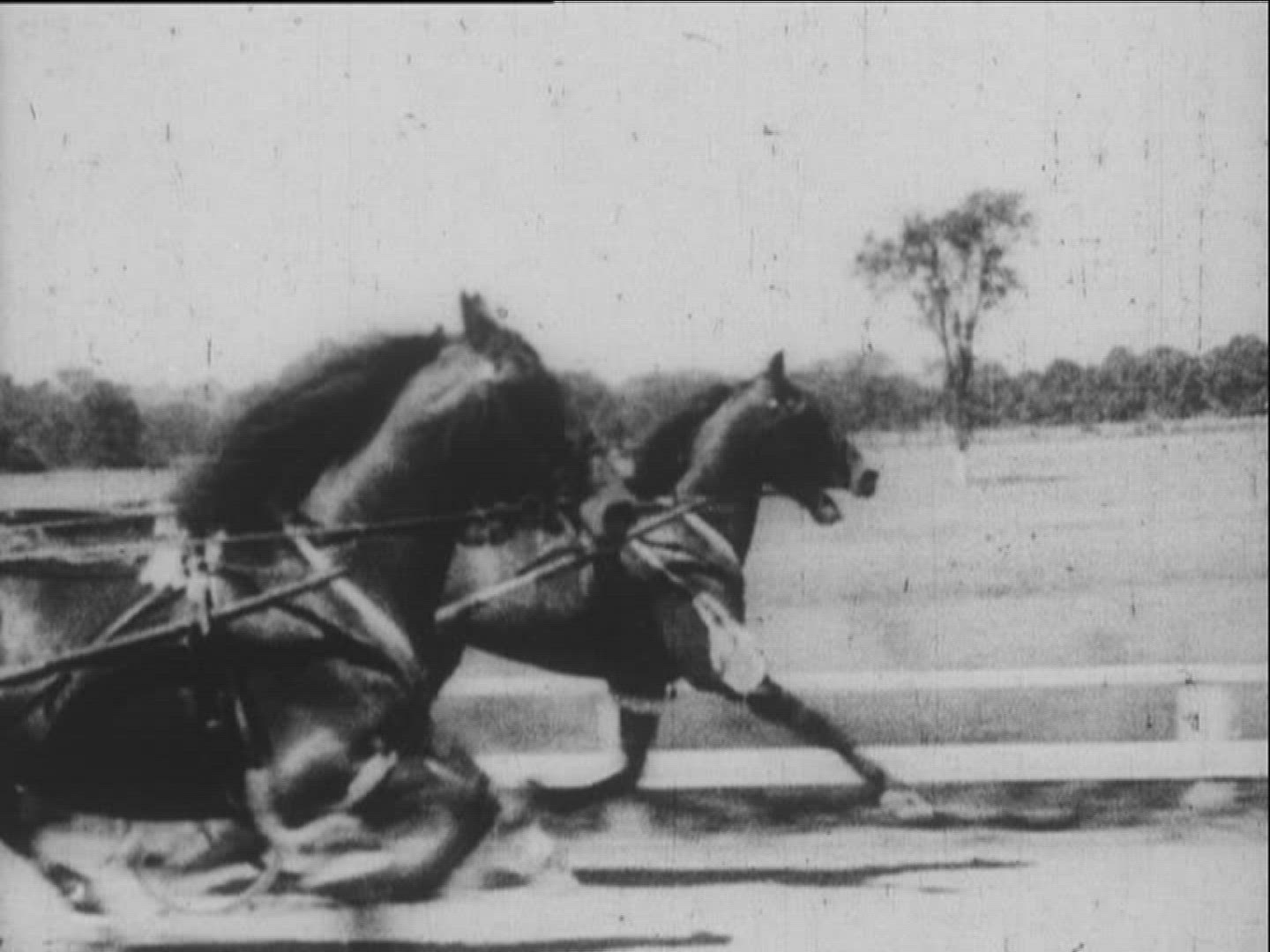584236897 / Horse Racing / Equestrianism