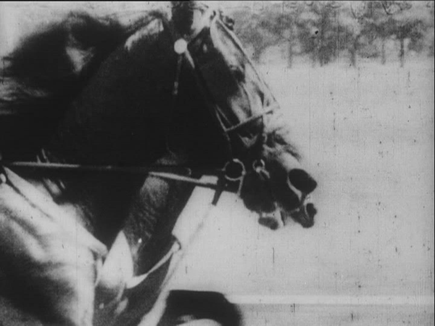 475080596 / Horse Racing / Equestrianism