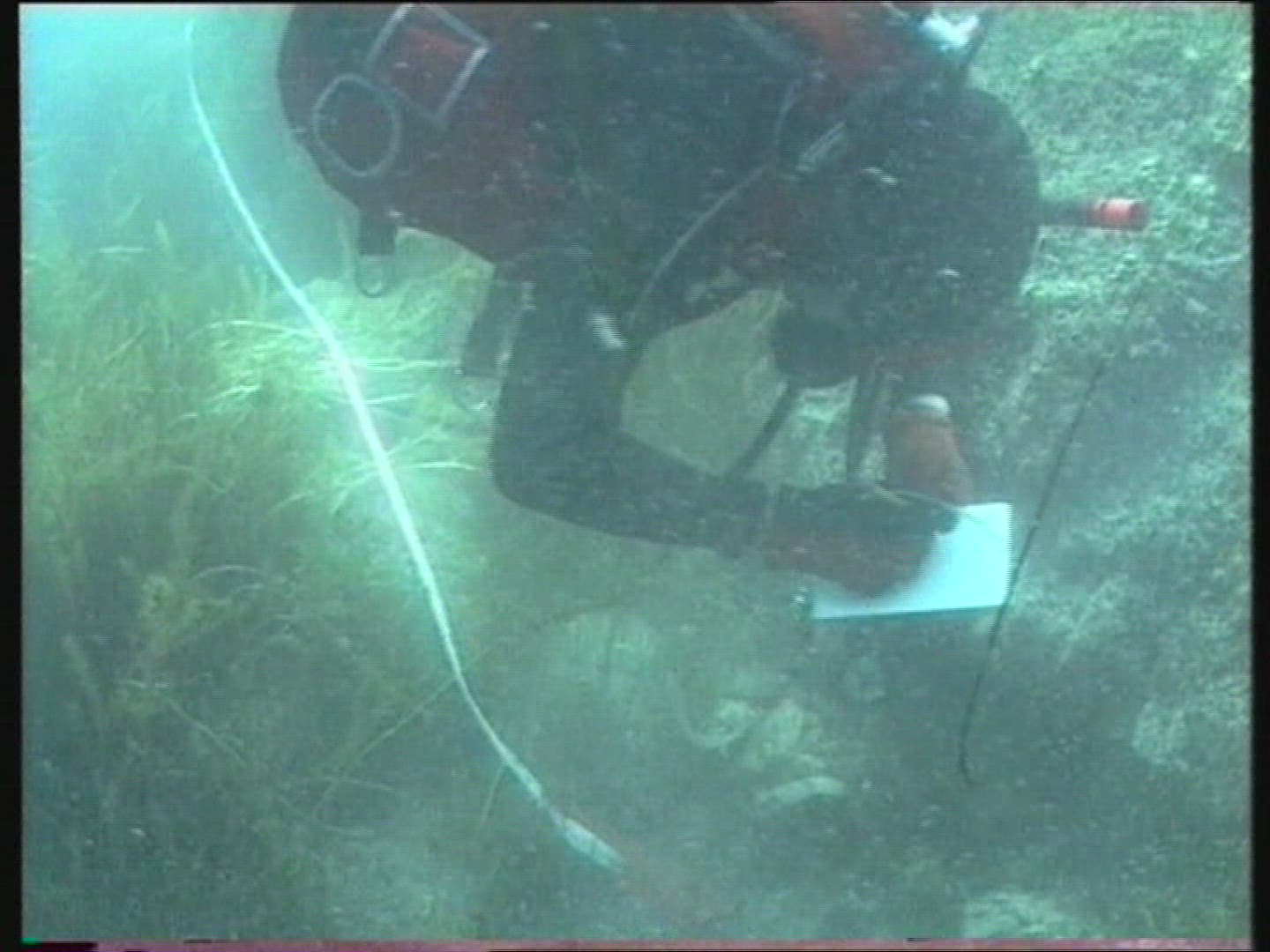 163821594 / Underwater Archaeology / Tiahuanaco / Bolivia