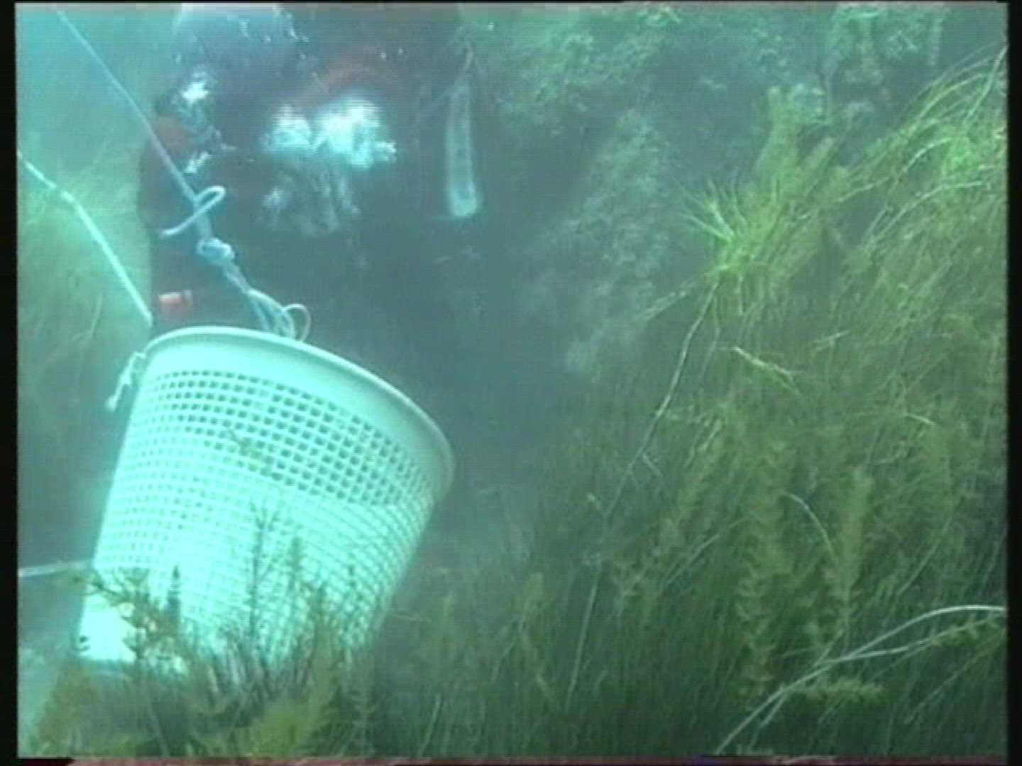 529644278 / Underwater Archaeology / Tiahuanaco / Bolivia