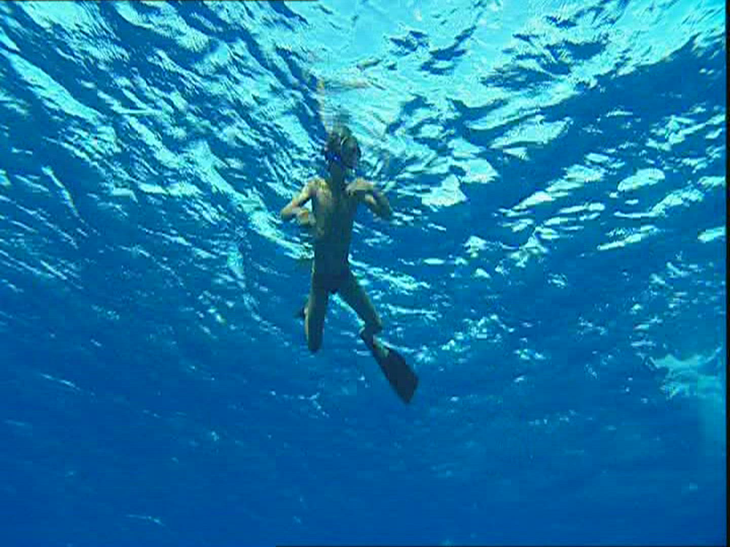 560431633 / Boy / Snorkelling / Polynesia