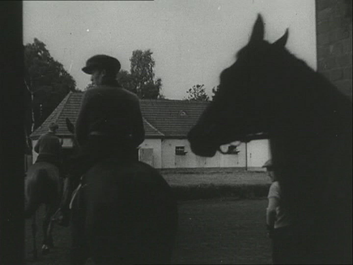 708720880 / Horse / Stud Farm Erlenhof / 1940-1949 / Germany