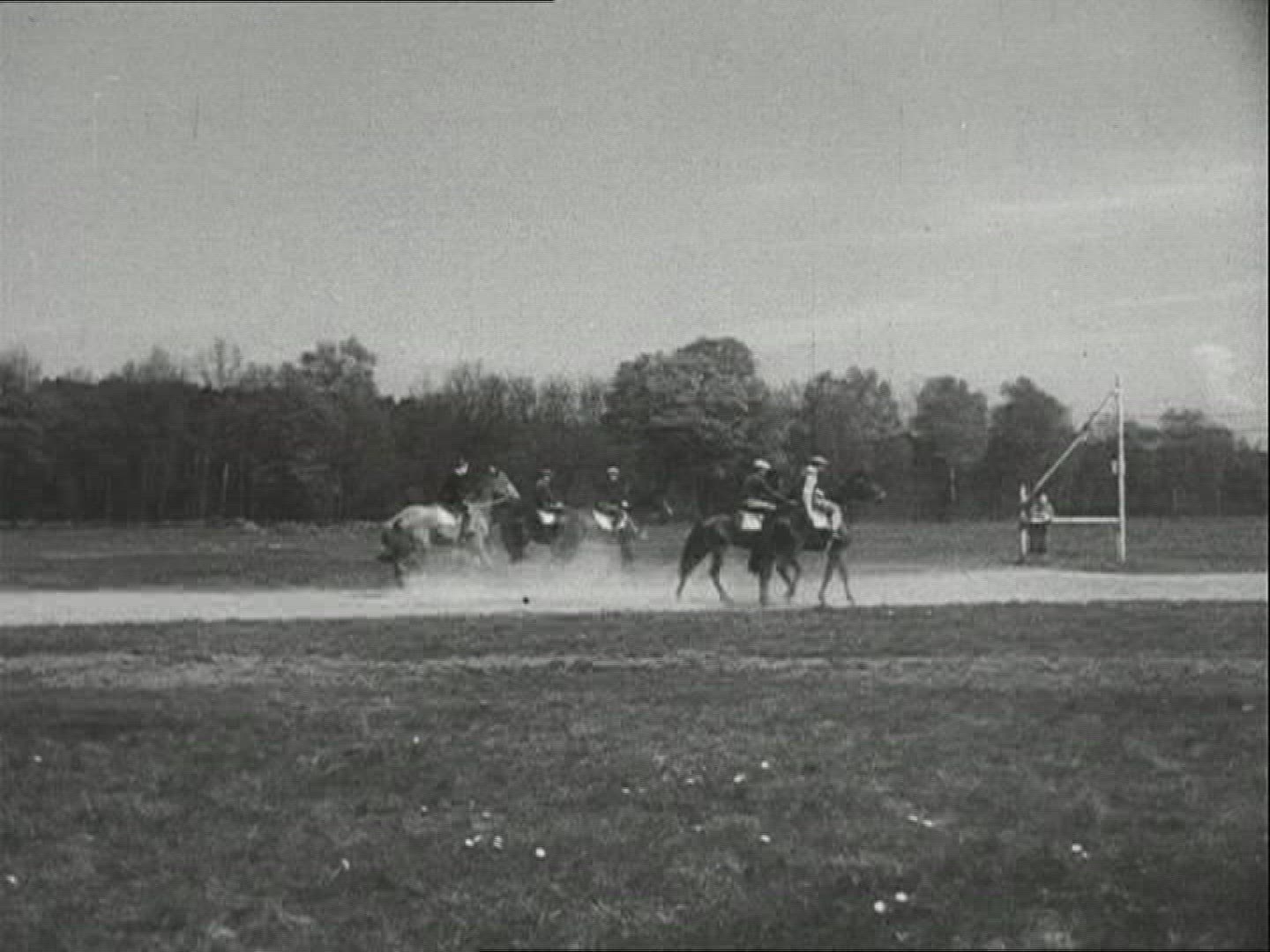 677833965 / Horse / Stud Farm Erlenhof / 1940-1949 / Germany