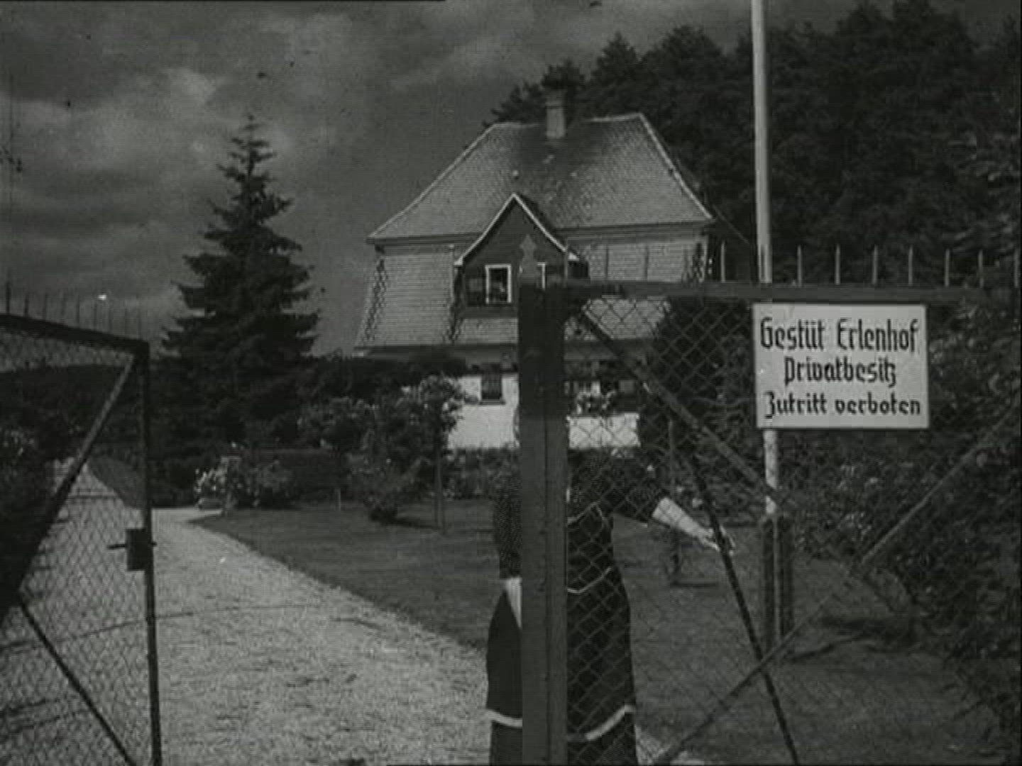 825488629 / Horse / Stud Farm Erlenhof / 1940-1949 / Germany