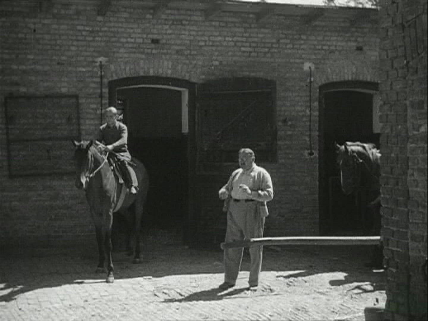 340362958 / Horse / Stud Farm Erlenhof / 1940-1949 / Germany