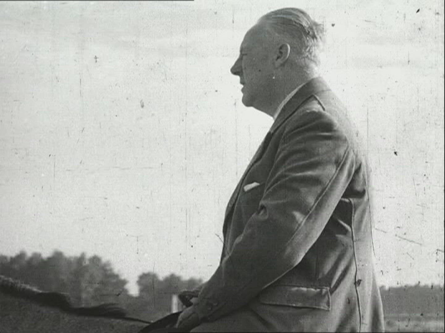 439542958 / Horse / Stud Farm Erlenhof / 1940-1949 / Germany