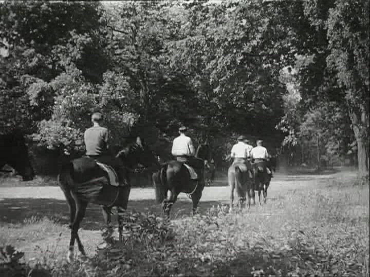 179350105 / Horse / Stud Farm Erlenhof / 1940-1949 / Germany