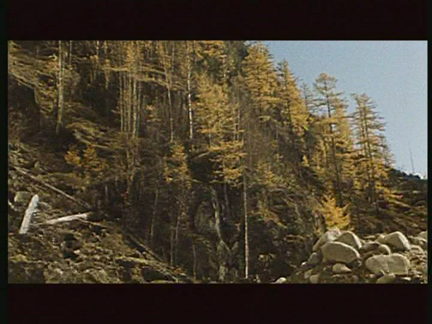 368235467 / Baikal Amur Mainline / Building Site / USSR / 1984
