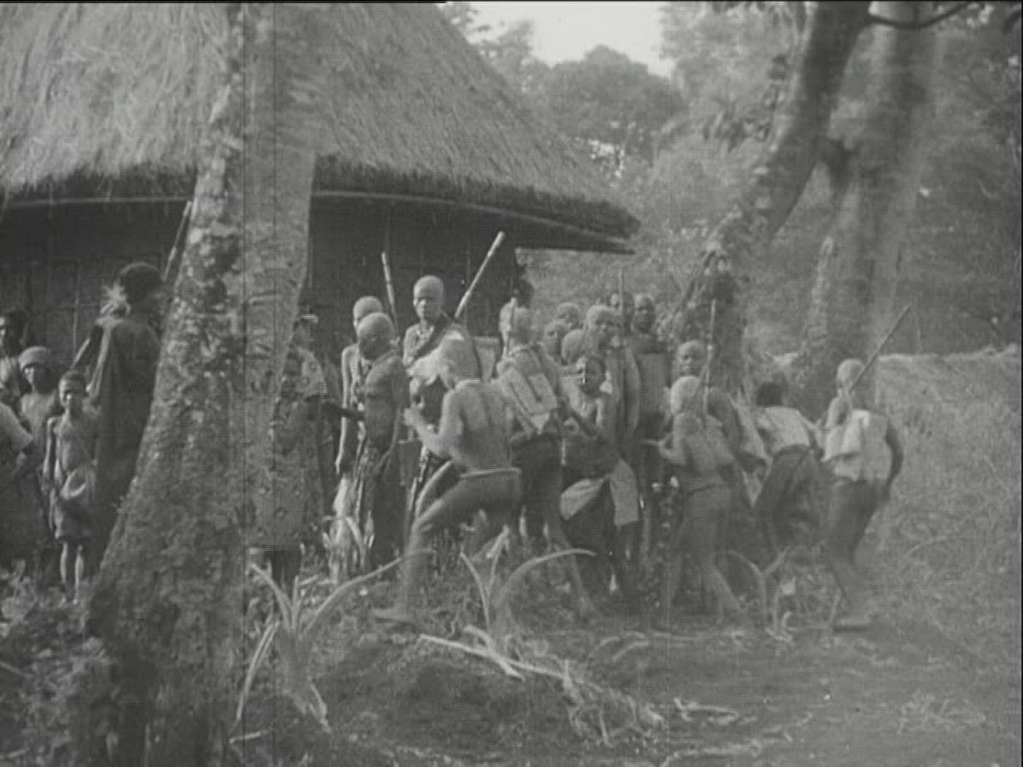 828395138 / Culture / Cameroon