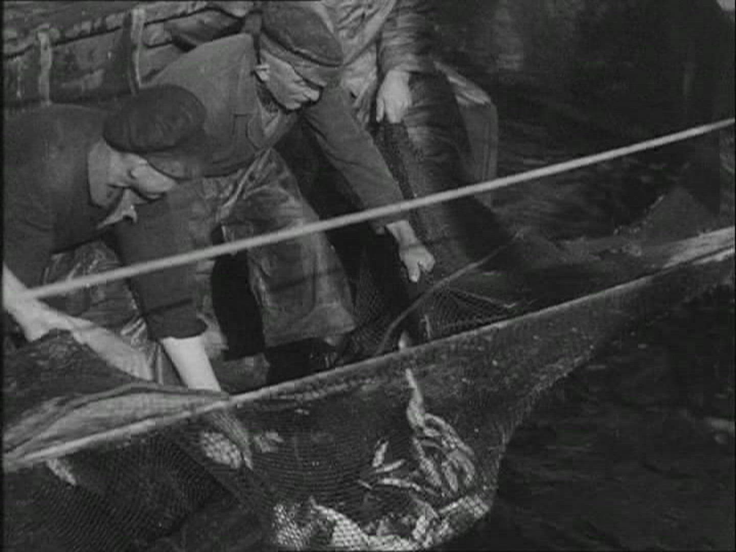 977391182 / Fishery / 1930-1939 / Germany