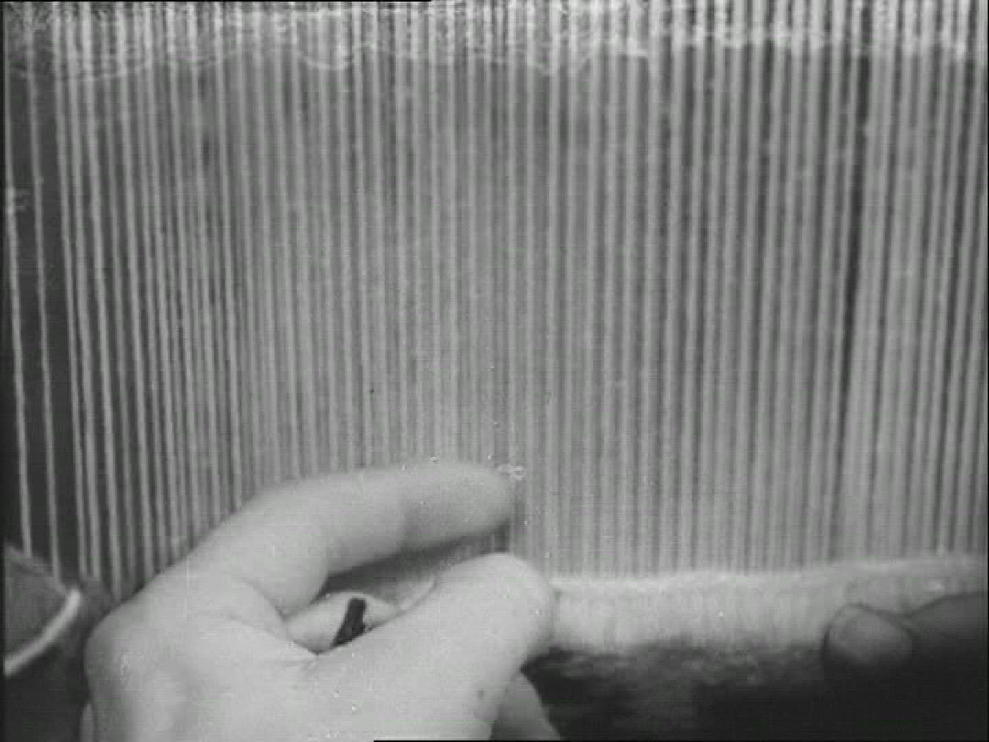 696067857 / Weaver / 1930-1939 / Germany