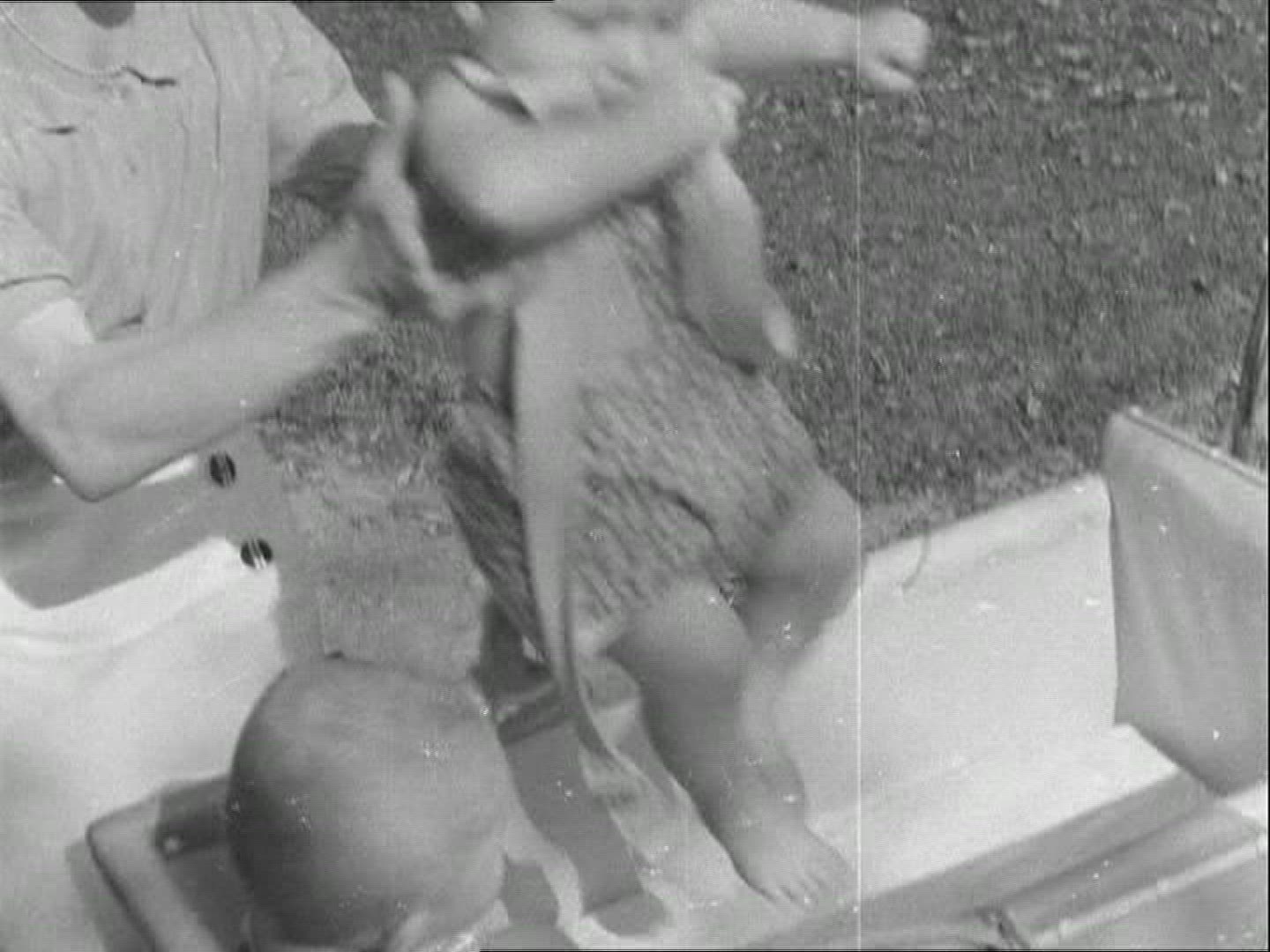 771007871 / Child / Summer / 1950-1959 / Europe