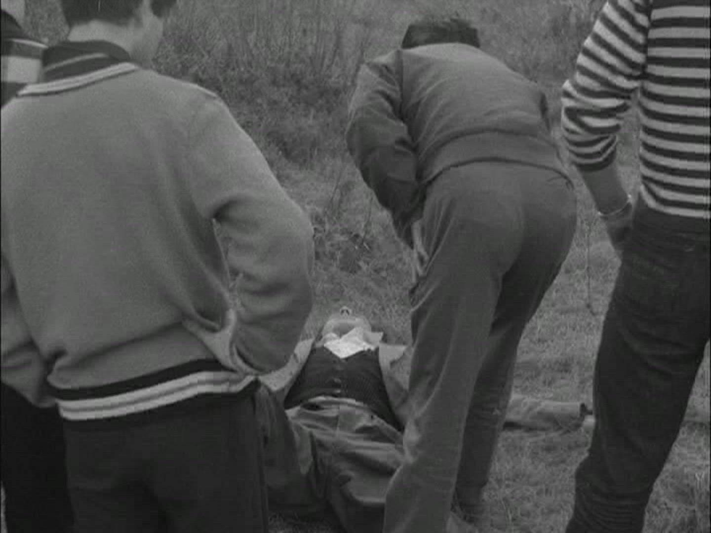 325070546 / Ein Hund müsste man sein / Clip / 1953