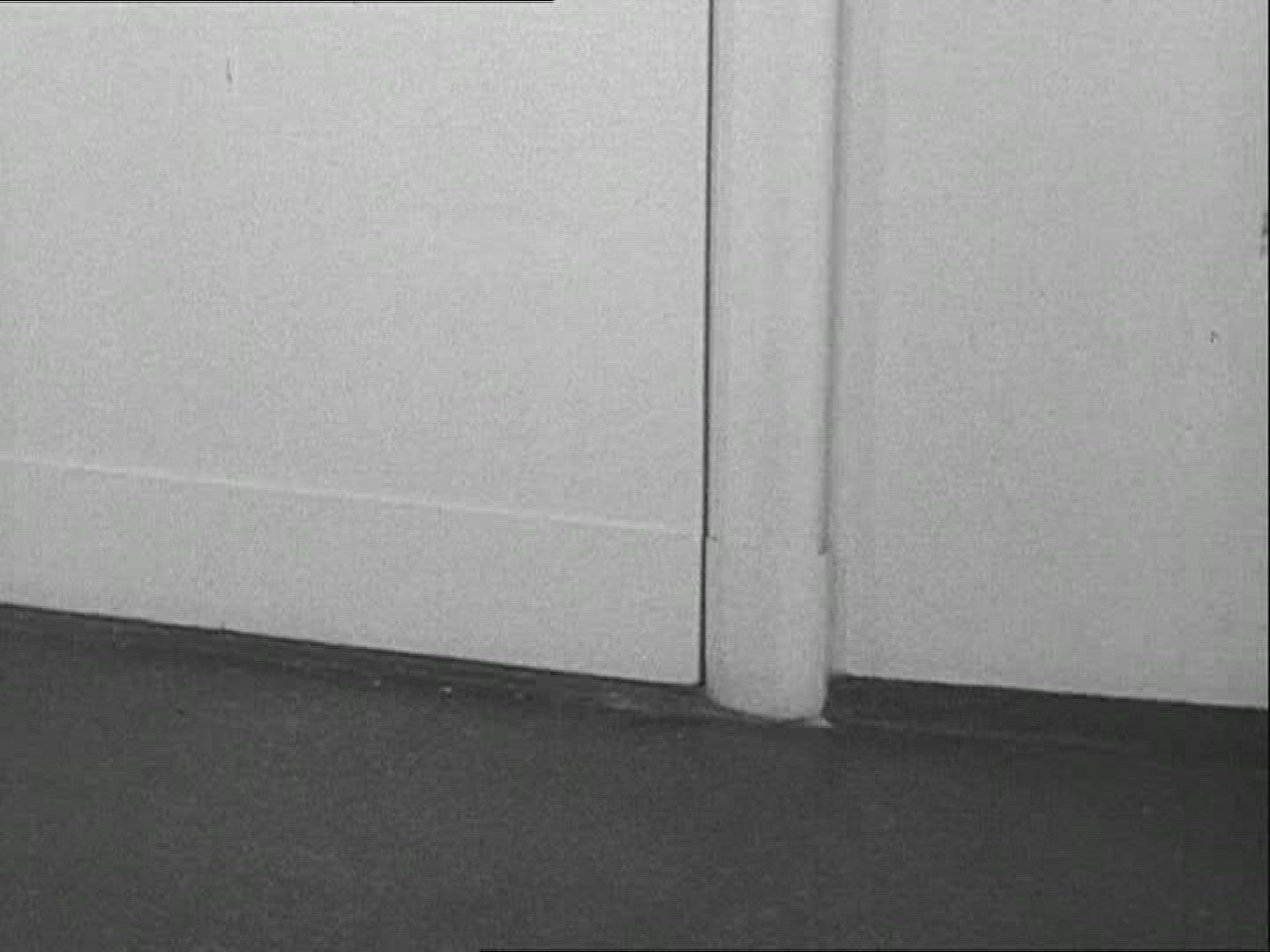 241416886 / Zoo / 1936 / Berlin / Germany
