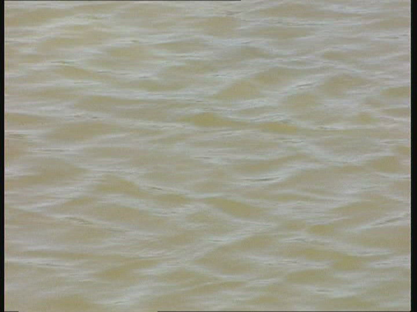 957540830 / Saltwater Crocodile / Australia