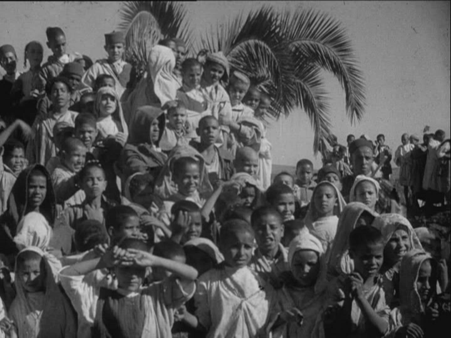 397554050 / Fair / Folklore / Morocco