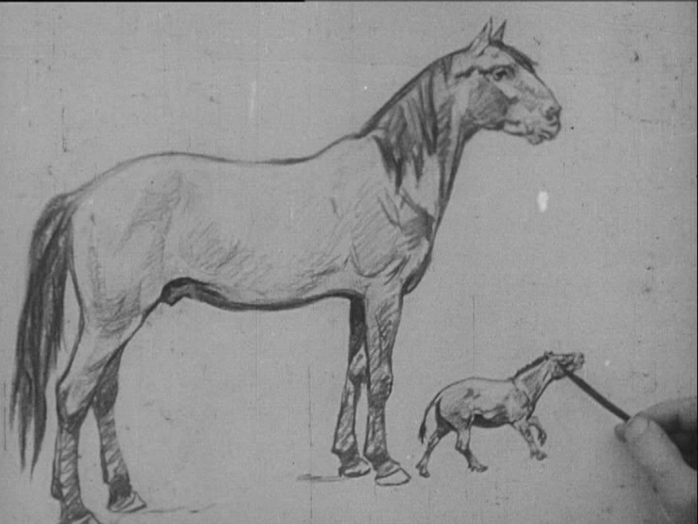 124424201 / Propaleotherium Parvulum / Zoology / Germany