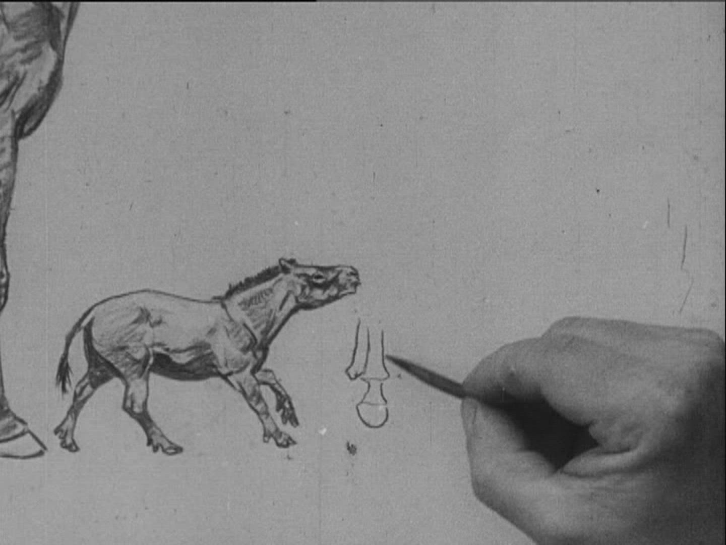 983095879 / Propaleotherium Parvulum / Zoology / Germany