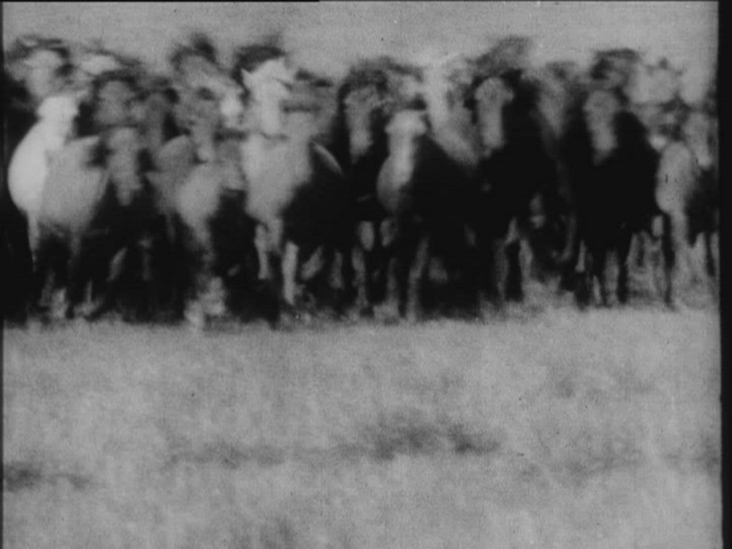 310547524 / Propaleotherium Parvulum / Mongolian Horse / Mongolia